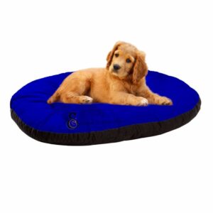 Dog relaxing beds